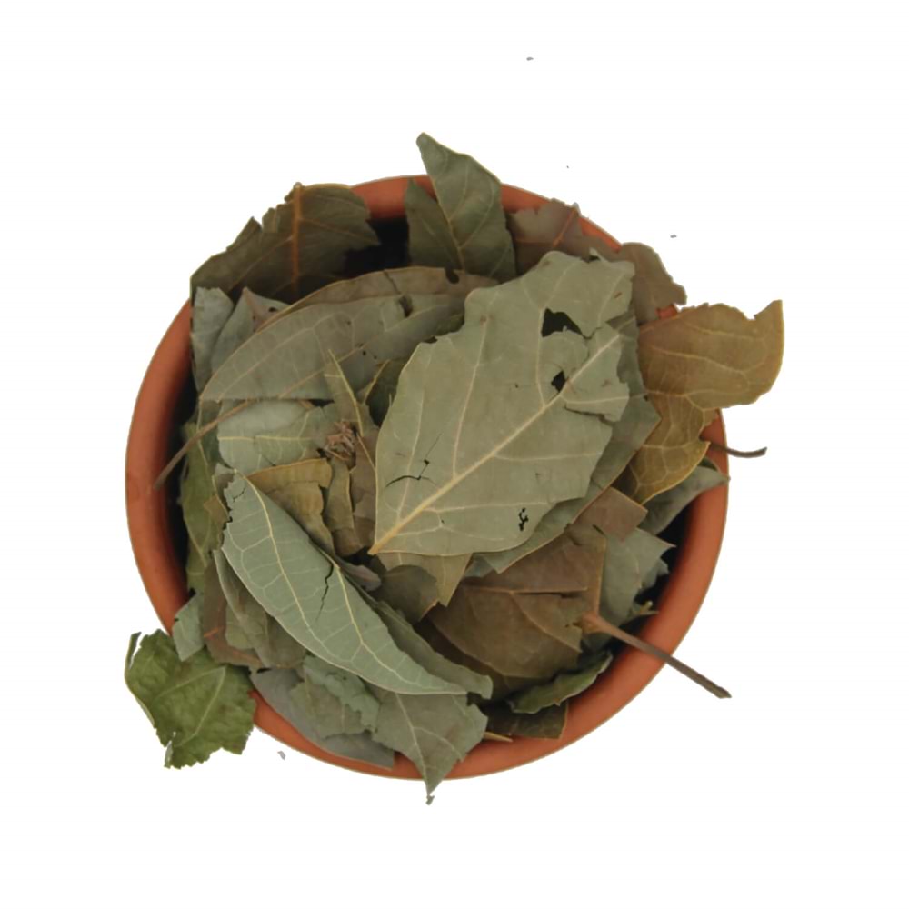 Avakado Yaprağı 1 KG