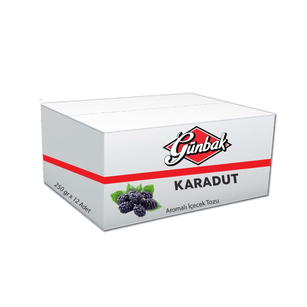 Günbak Karadut Aromalı İçecek Tozu 250 Gr Kutu 12 Adet