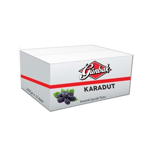 Günbak Karadut Aromalı İçecek Tozu 250 Gr Kutu 12 Adet